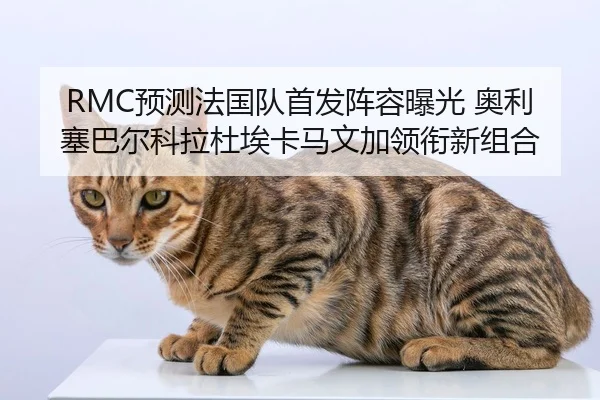 RMC预测法国队首发阵容曝光 奥利塞巴尔科拉杜埃卡马文加领衔新组合